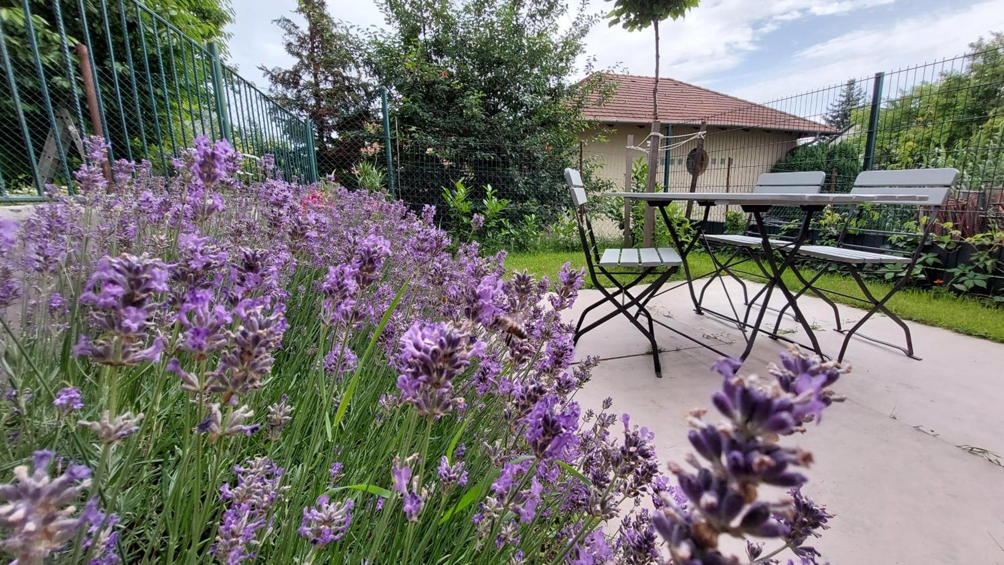 Miniszilva Apartman Balatonalmádi Zewnętrze zdjęcie